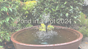 Pond In A Basin In 2024: Poposoap Pond Filter