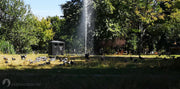Wildlife Pond