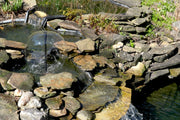 The deep water area (40 to 60cm) is conducive to overwintering or habitation.