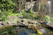 Build a small sloping area for hedgehogs and frogs to enter and exit.
