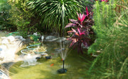 Is a Wildlife Pond Right for You?