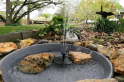 Tree stumps and stones are set up along the pool to form micro-habitats.