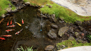 Garden Pond