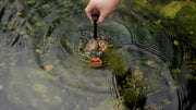 Place the fountain in water.