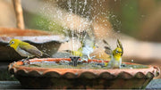 Fits Most Birdbaths
