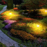 Tree-Lined Garden Path