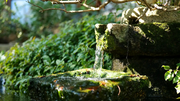 Waterfall Pond
